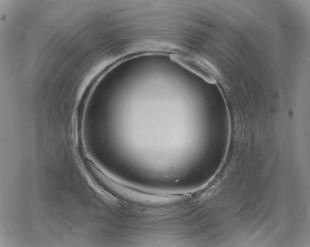 X0000070361128200606091025