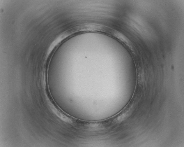 X0000070361130200606091025