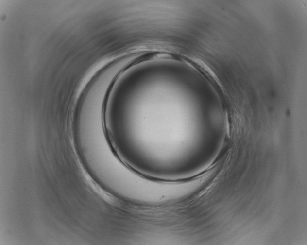 X0000070361131200606091025