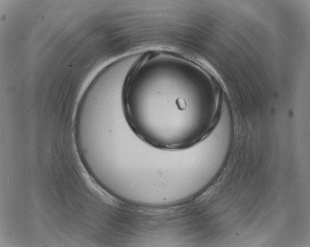 X0000070361132200606091025