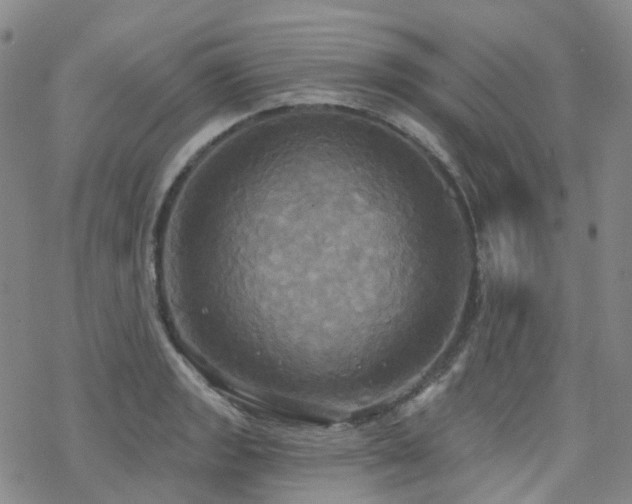 X0000070361133200606091025