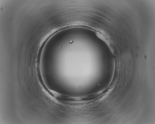 X0000070361134200606091025