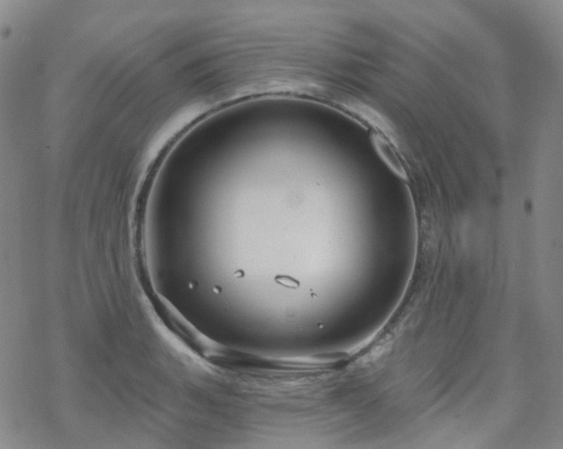 X0000070361135200606091025