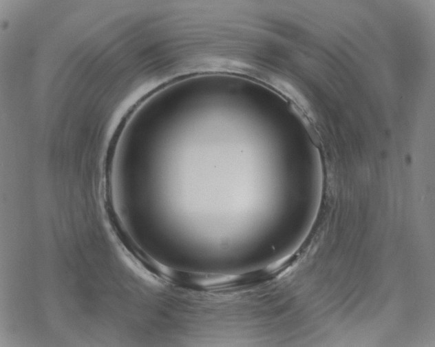 X0000070361136200606091025