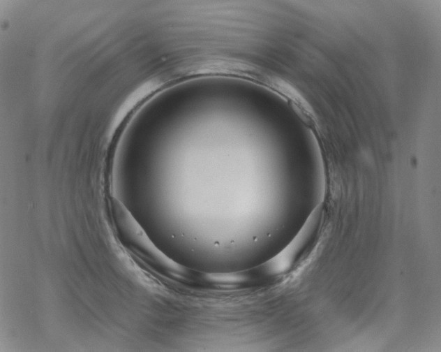 X0000070361138200606091025