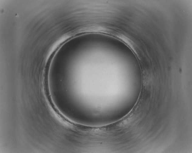 X0000070361139200606091025