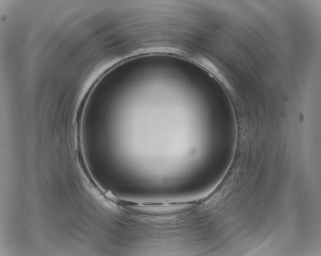 X0000070361140200606091025