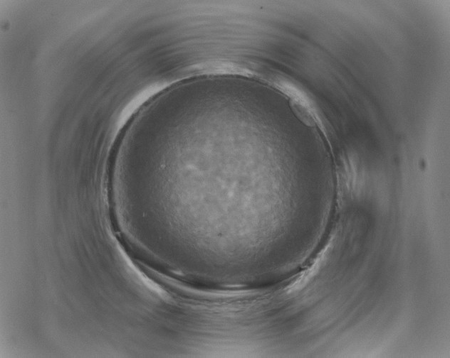 X0000070361141200606091025