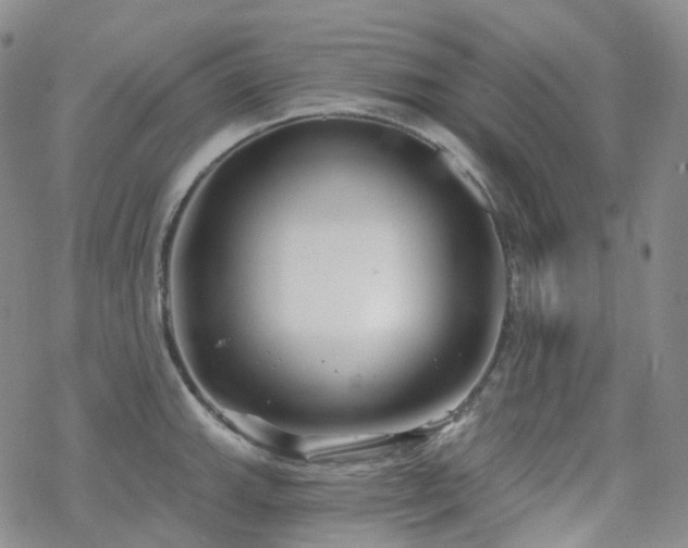 X0000070361143200606091025