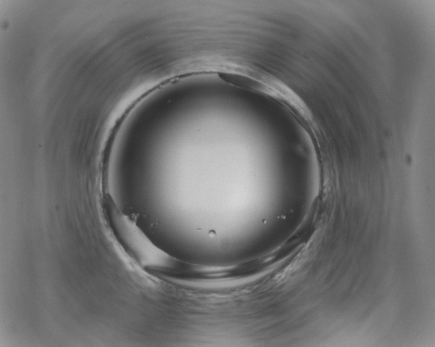 X0000070361144200606091025