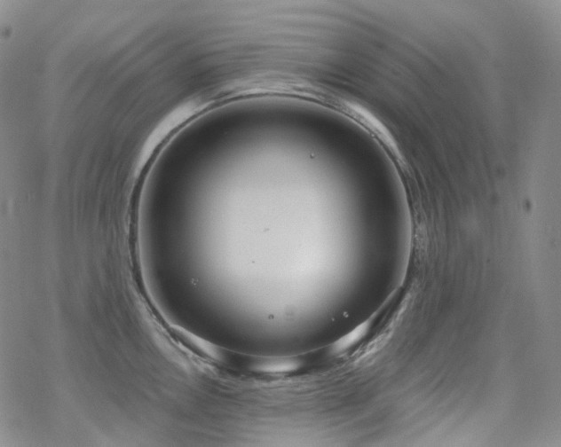 X0000070361146200606091025