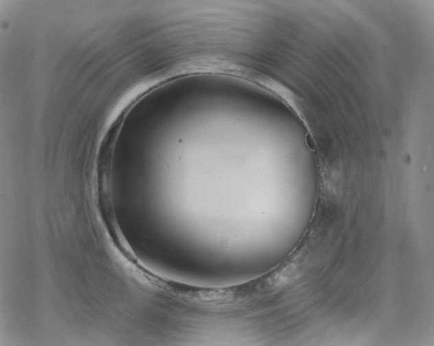 X0000070361147200606091025