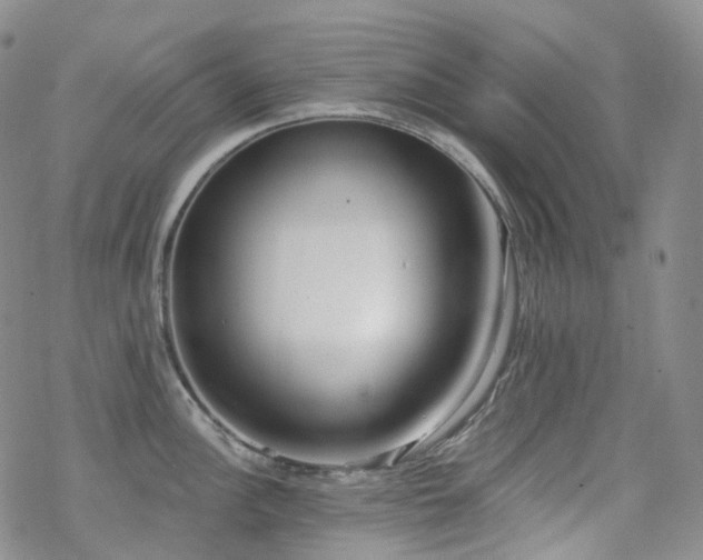 X0000070361148200606091025