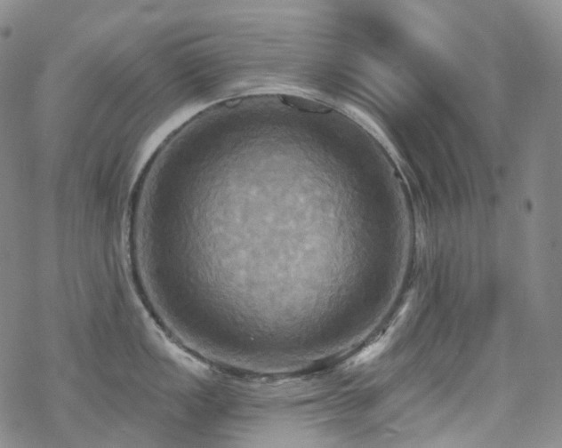 X0000070361149200606091025