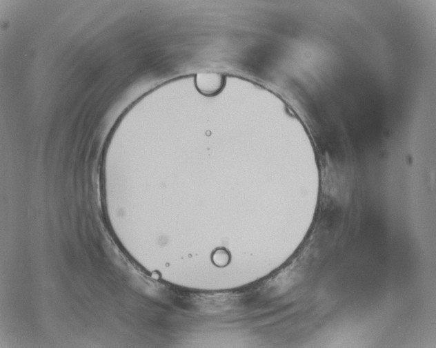 X0000070361150200606091025