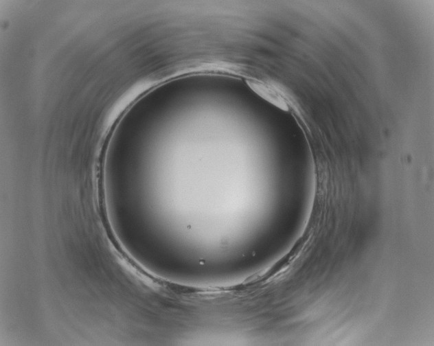 X0000070361151200606091025