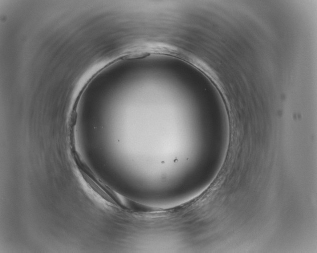 X0000070361152200606091025