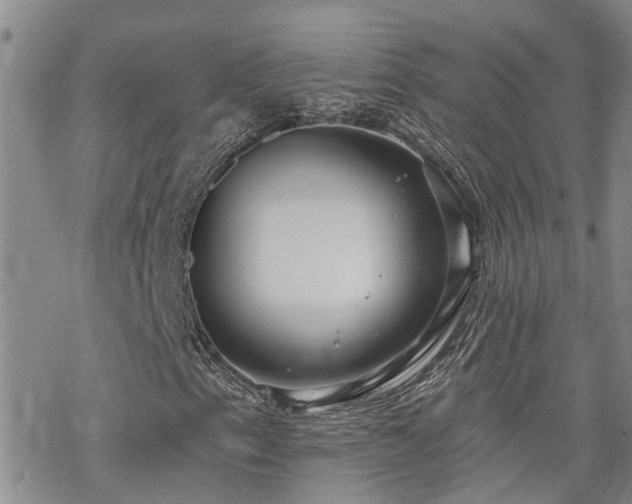 X0000070361153200606091024