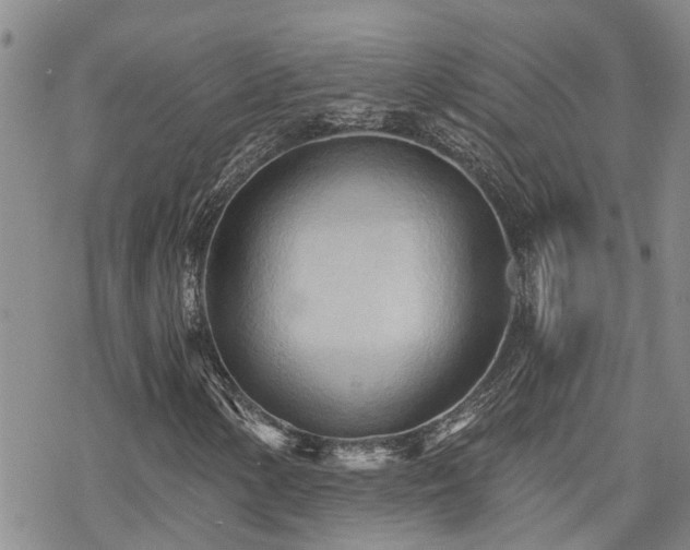 X0000070361154200606091024