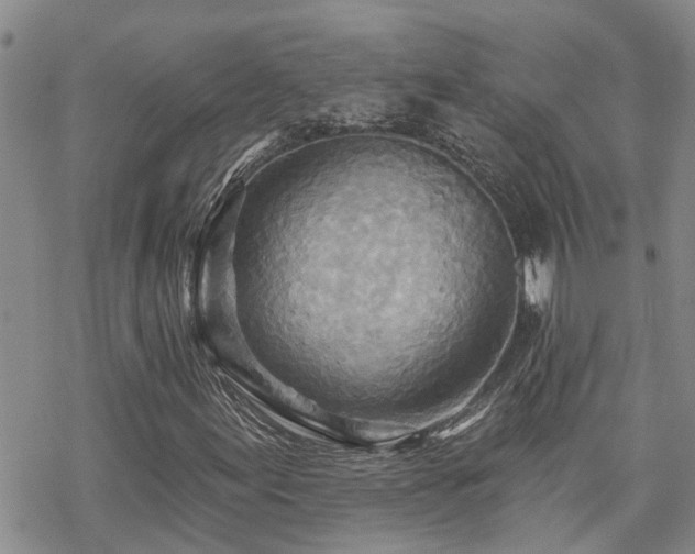 X0000070361155200606091024