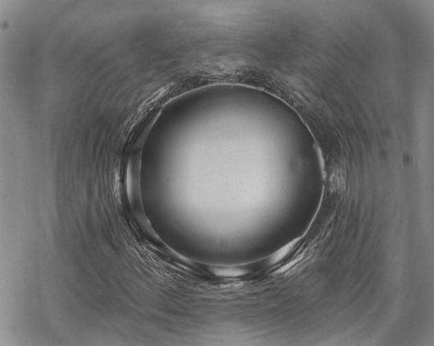 X0000070361156200606091024