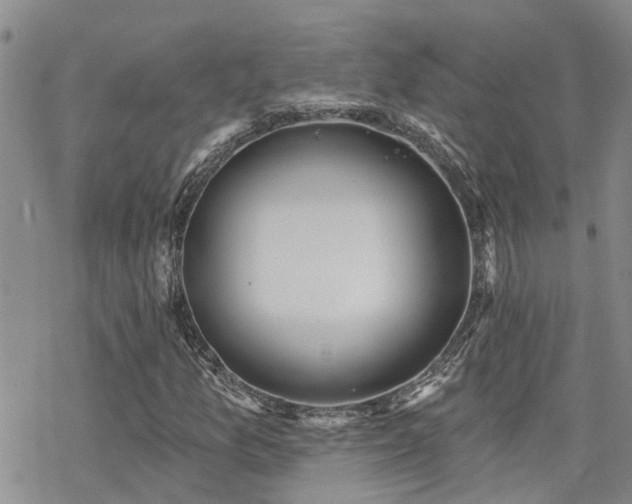 X0000070361157200606091024