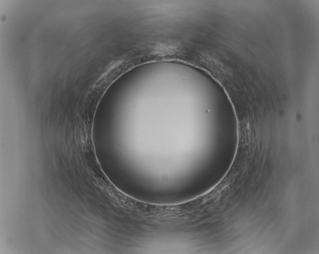 X0000070361158200606091024