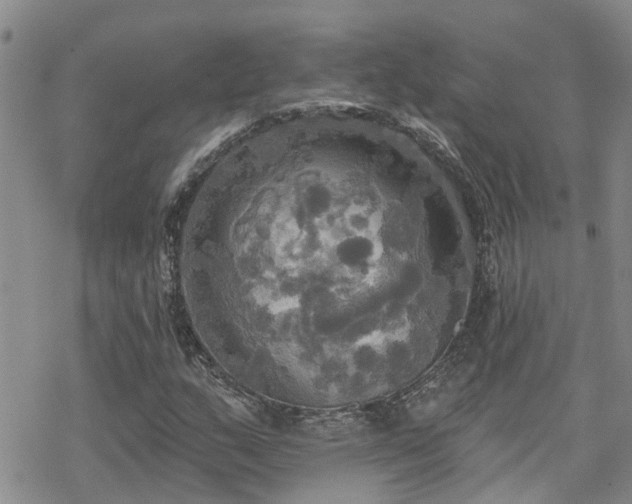 X0000070361159200606091024