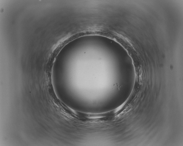 X0000070361160200606091024