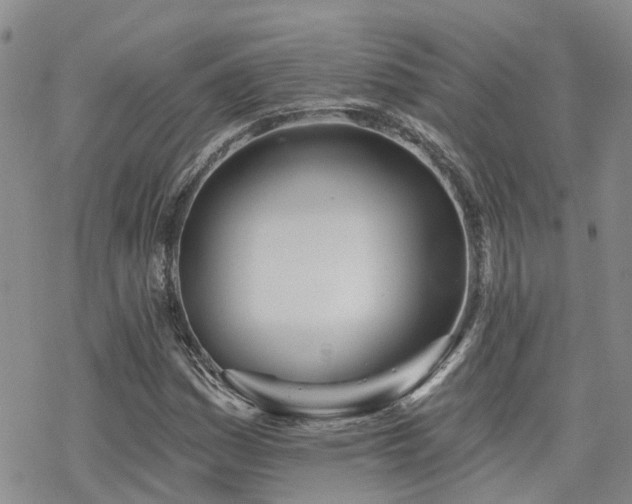 X0000070361161200606091024