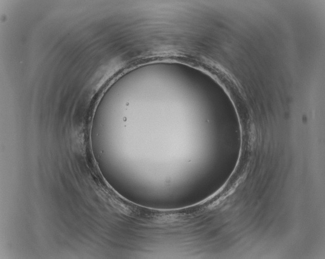 X0000070361162200606091024