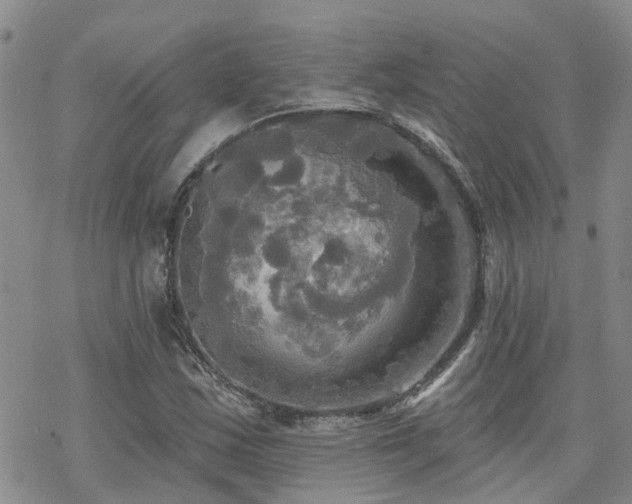 X0000070361163200606091024