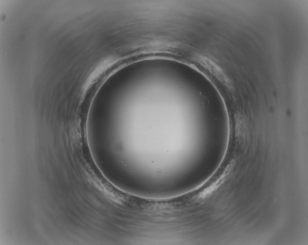 X0000070361164200606091024