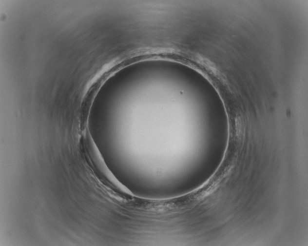 X0000070361165200606091024