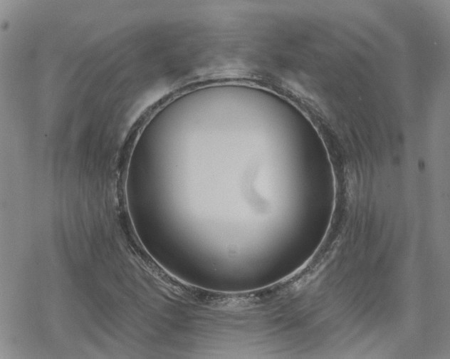 X0000070361166200606091024