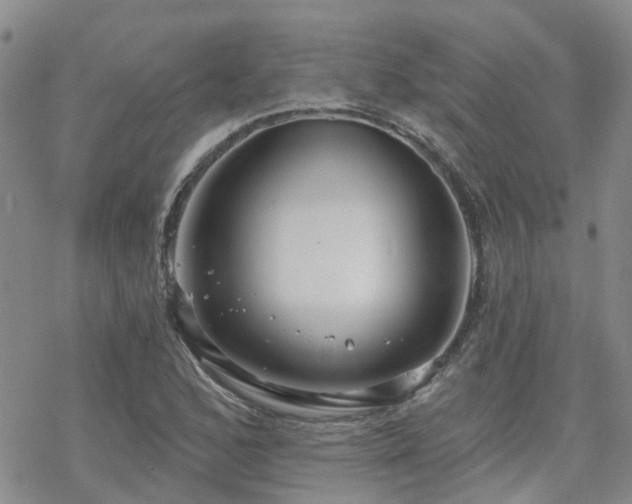 X0000070361168200606091024