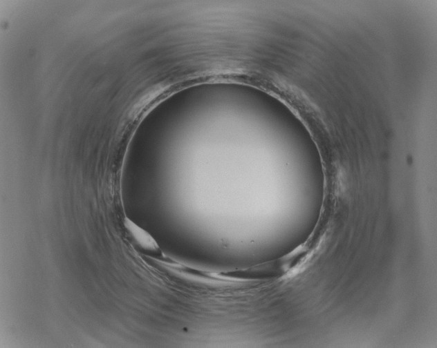 X0000070361169200606091024