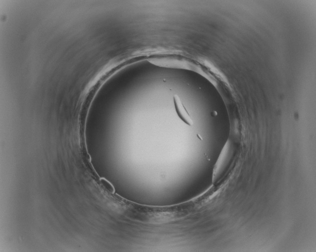 X0000070361173200606091024