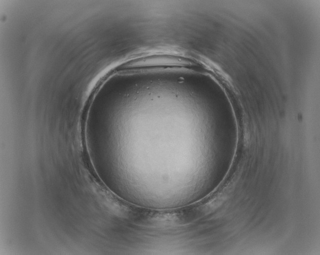 X0000070361174200606091024