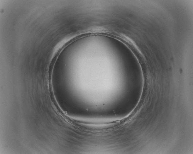 X0000070361176200606091024