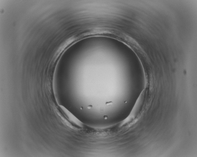 X0000070361177200606091024