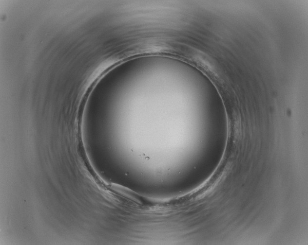 X0000070361178200606091024