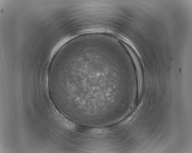 X0000070361179200606091024