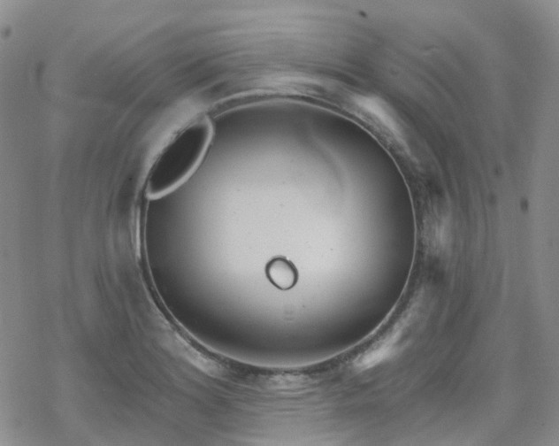 X0000070361180200606091024