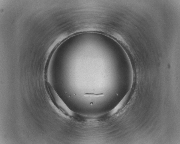 X0000070361181200606091024