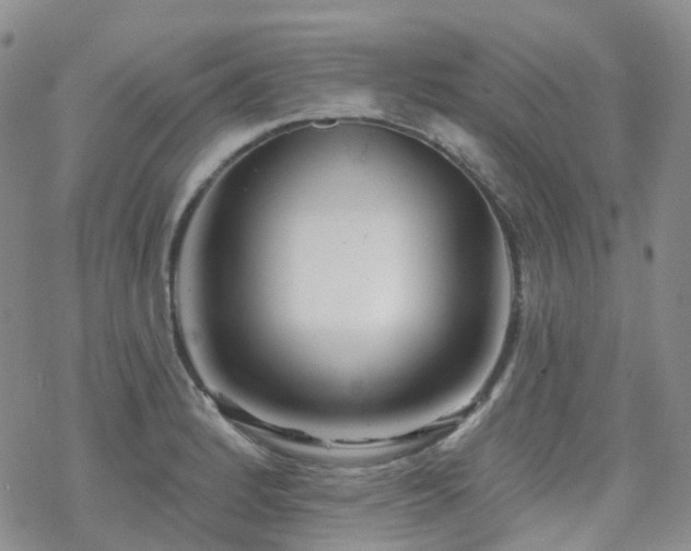 X0000070361184200606091024