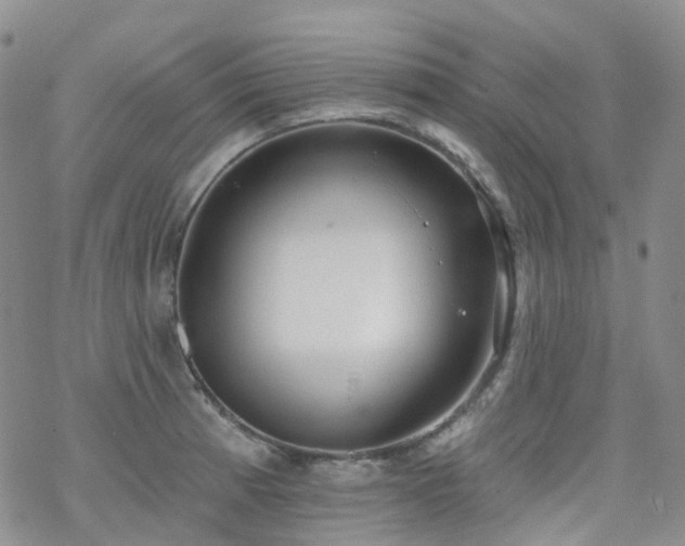 X0000070361185200606091024