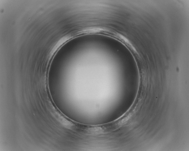 X0000070361186200606091024