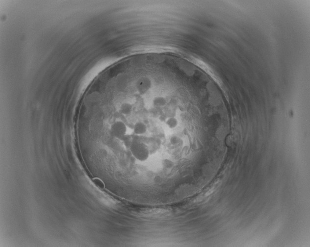 X0000070361187200606091024