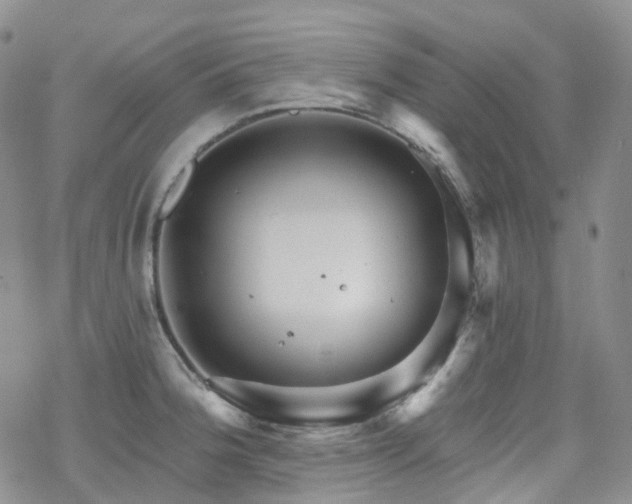 X0000070361188200606091024